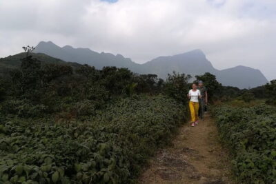 Knuckles Mountain Range Hiking and Trekking Day Tour From Kandy Hotels - Price and value: what $75 includes (and what you’d otherwise pay)