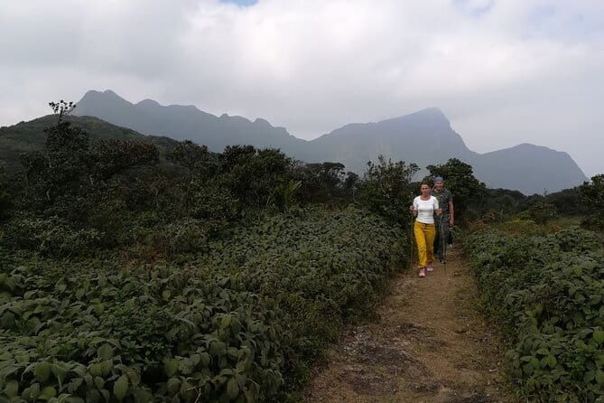Knuckles Mountain Range Hiking and Trekking Day Tour From Kandy Hotels - Price and value: what $75 includes (and what you’d otherwise pay)