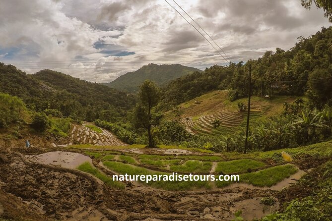 Knuckles Spice Trail Trek from Kandy - What to know before you lace up