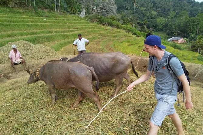 Knuckles Spice Trail Trek from Kandy - Key highlights at a glance