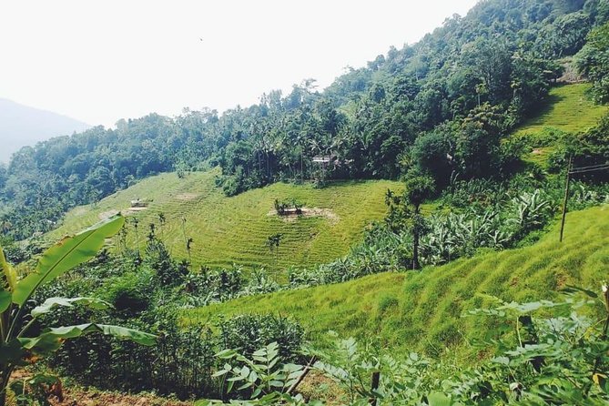 Knuckles Spice Trail Trek from Kandy - Cloud-forest views, wildlife moments, and the value of a specialist guide