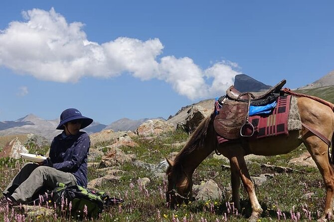 Kolahoi Glacier Trek - Basmai Pass (4300m): the hardest hour that changes the whole route