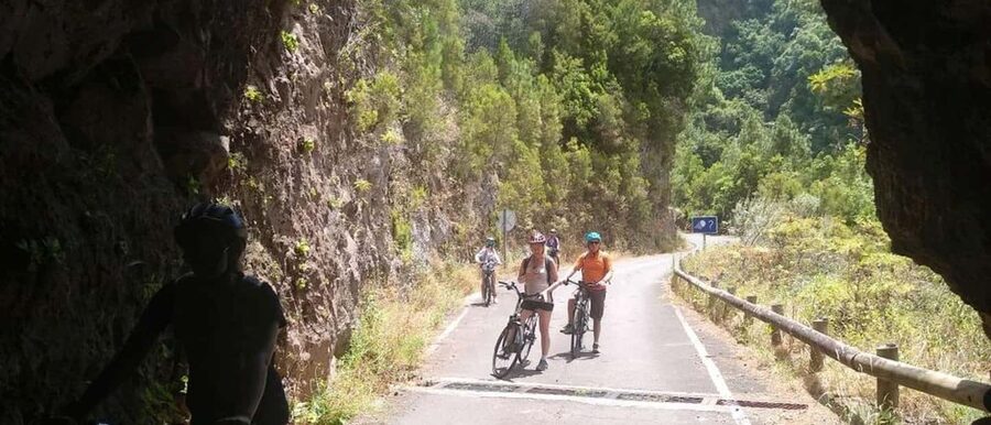 La Palma: Guided e-bike tour (trekking) - Key highlights you’ll feel right away