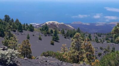 La Palma: Guided e-bike tour (trekking) - East La Palma highlights: Miradores, the Atlantic, and tree icons