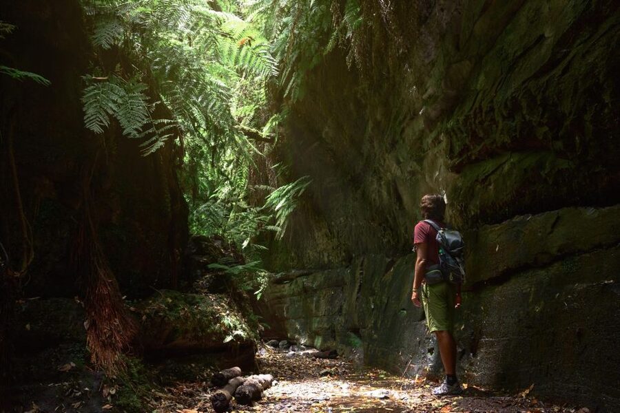 La Palma: Guided Trekking Tour To Cubo de la Galga - The Trek Itself: 11 km, Medium Difficulty, and Uneven Footing