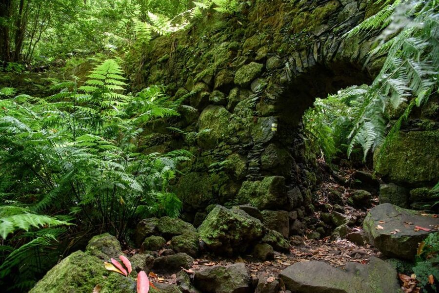 La Palma: Guided Trekking Tour To Cubo de la Galga - Who This Tour Suits (and Who Should Skip It)