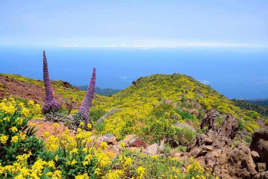La Palma: Guided Trekking Tour to El Roque de los Muchachos - Key Things I’d Focus On