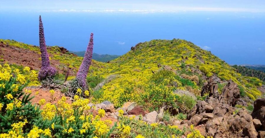 La Palma: Guided Trekking Tour to El Roque de los Muchachos - Walking the Old Route: Tijarafe to Santa Cruz and Beyond