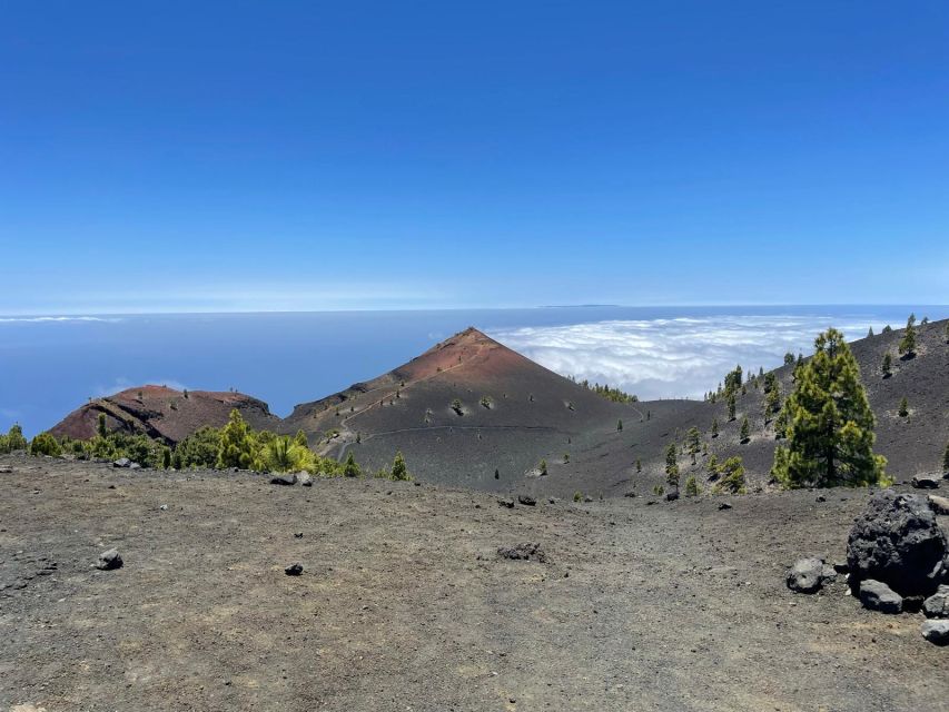 La Palma: Guided trekking tour to volcanoes south - Why the Volcanoes Route ends at Los Canarios