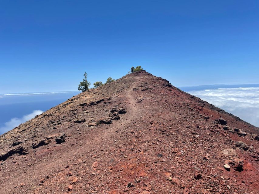 La Palma: Guided trekking tour to volcanoes south - What you’re really signing up for: pace, altitude, and a “Mars on Earth” vibe