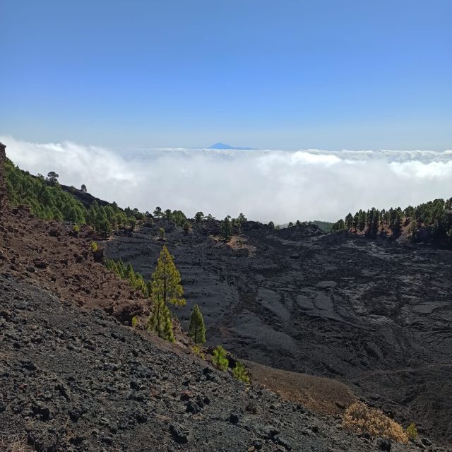La Palma: Guided trekking tour to volcanoes south - Who should book this guided trek (and who should choose another option)