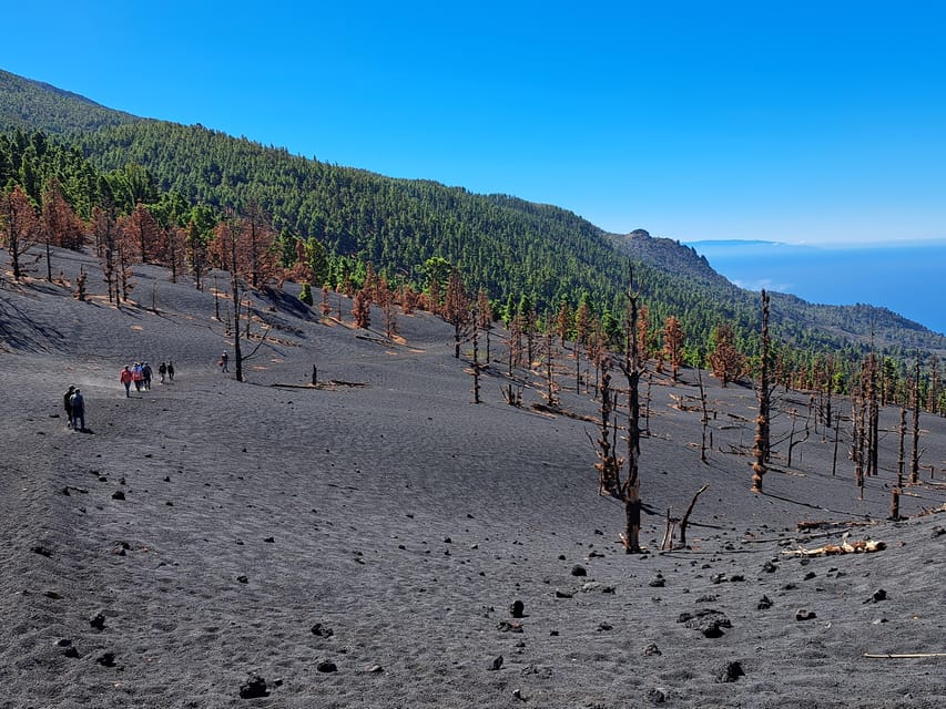 La Palma: Tajogaite Volcano Guided Trek - Key points to know before you go
