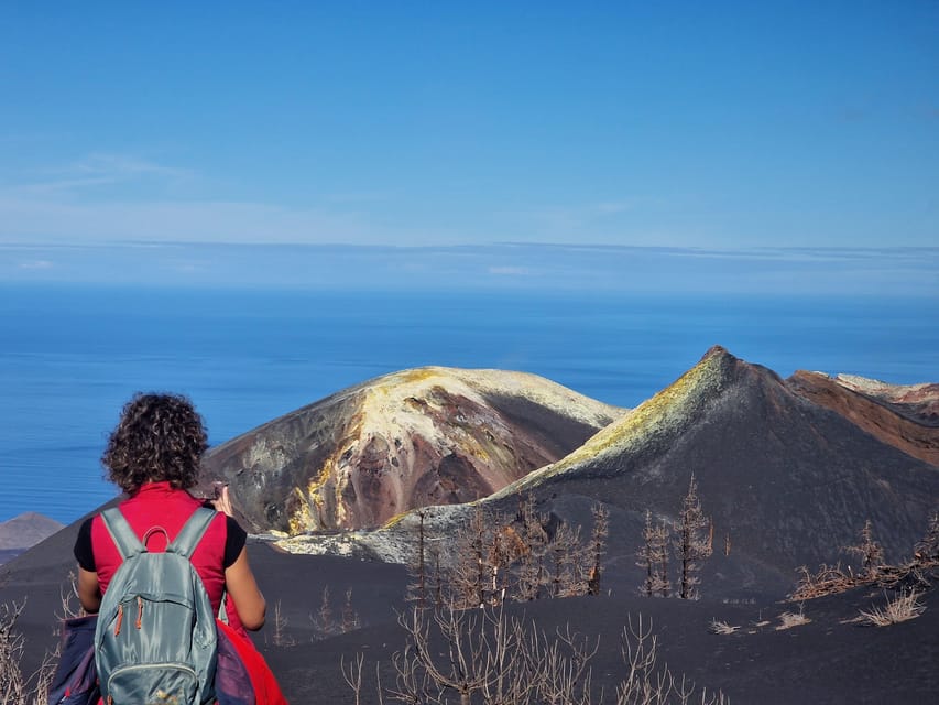 La Palma: Tajogaite Volcano Guided Trek - The hike up Cumbre Vieja: close views without entering danger zones