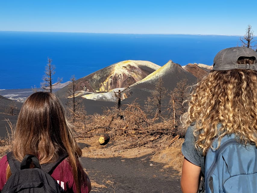 La Palma: Tajogaite Volcano Guided Trek - What the guide actually adds (and why it matters)