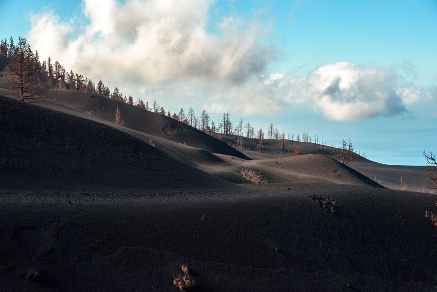 La Palma: Tajogaite Volcano Guided Trek - Price and value: what $45 buys you for 4 hours