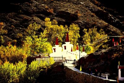 Ladakh Sham Valley Trek - Day 2 Tsermangchen La and the Cedar-Grove Village of Hemis Shukpachen