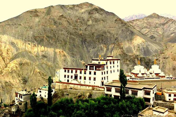 Ladakh Sham Valley Trek - What You Actually Get for $400: Value Breakdown That Makes Sense