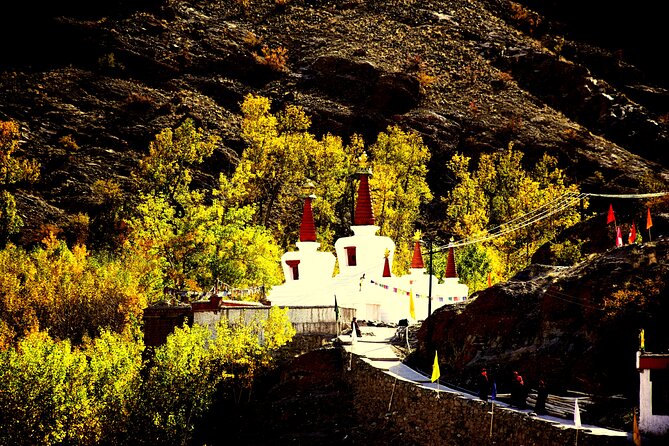 Ladakh Sham Valley Trek - Day 2 Tsermangchen La and the Cedar-Grove Village of Hemis Shukpachen