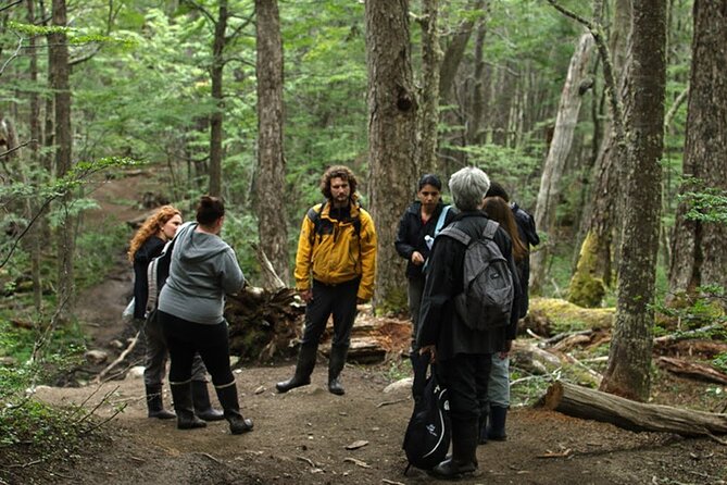 Laguna Esmeralda Trekking Adventure with Lunch - What the hike feels like: mud, cold, and the kind of effort that sneaks up