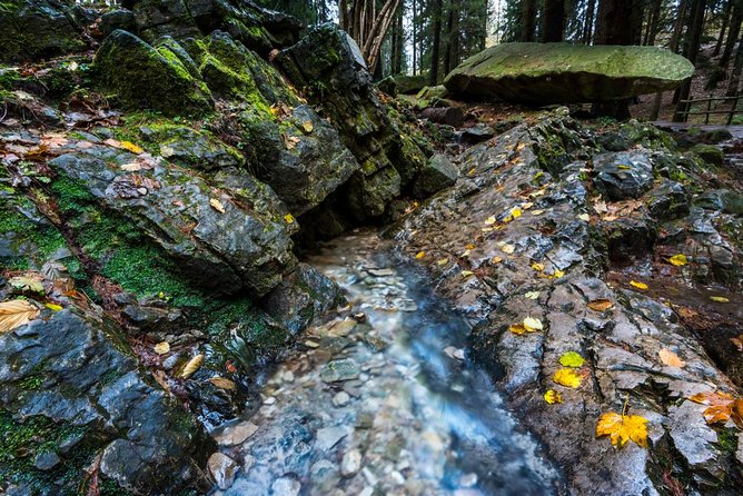 Lake Como trekking private guided tour, from Milan - Transfers from Milan or Como: saving time without overthinking