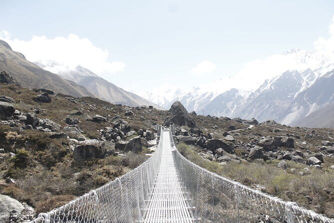 Langtang Trek from Kathmandu 7 Days - Following the Langtang Khola: Forest hiking that stays fun