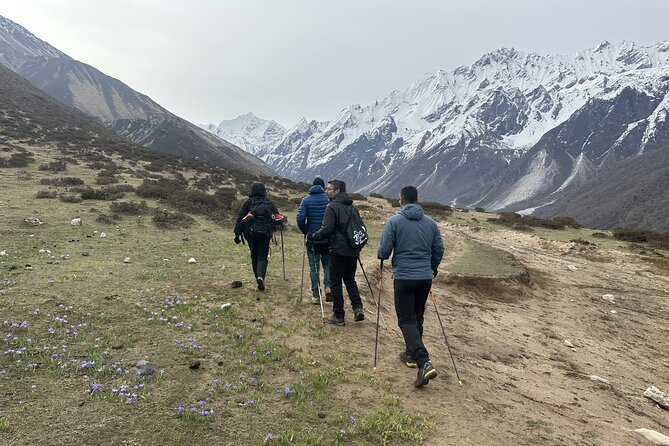 Langtang Trekking - Kyanjin Ri and the Langtang peaks: what you’re actually hiking for