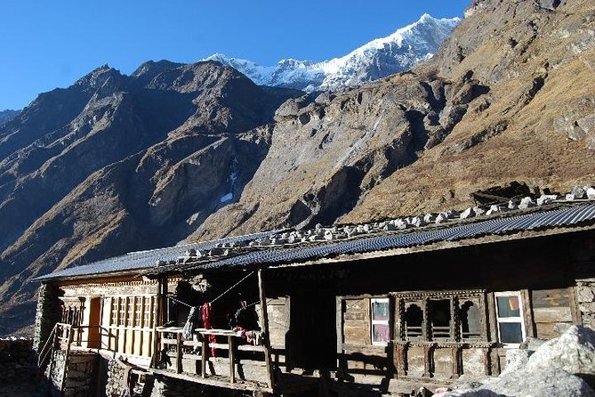 Langtang Valley Trek - 8 Days - Day 6: Retracing to Lama Hotel Through Rhododendron Again