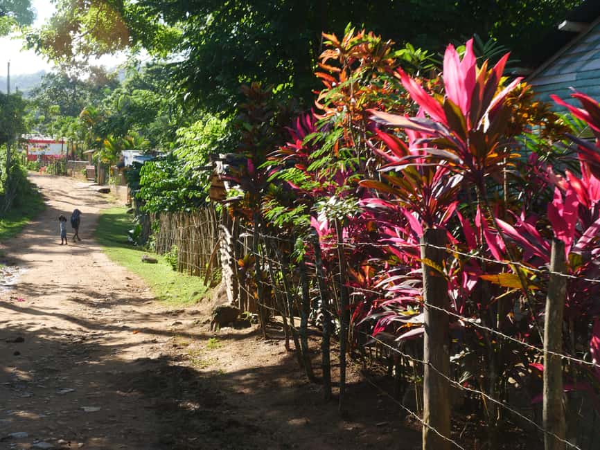 Las Terrenas: El Limón Waterfall Trekking Tour in Samana - Before the waterfall: the viewpoint moment and the local shop stop