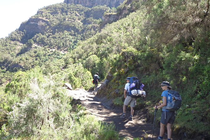 Lasta Mountains: Highland Eco Trekking Tour in Lalibela - Meeting at 7am: pacing, timing, and how the day stays manageable
