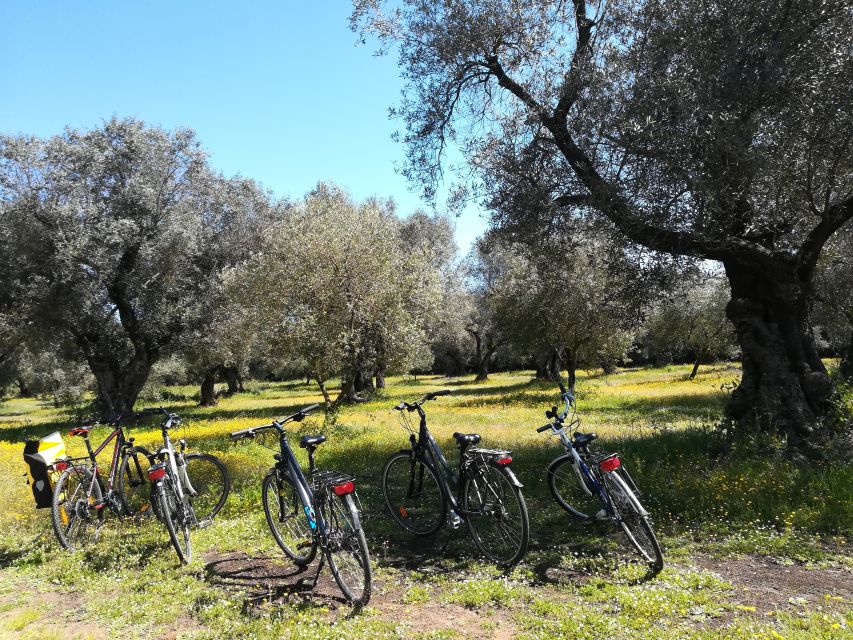 Lecce: Bike Rental (City, Trekking, E-Bikes) - Price and value: $25 per person and where it can feel costly
