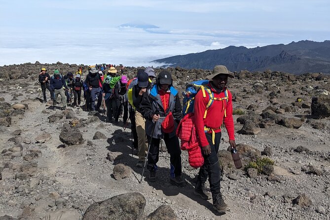 Lemosho Route 7 Days Trekking at Mount Kilimanjaro - Barranco Wall to Karanga Camp: the short day that helps