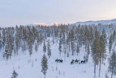 Levi: Riding Trek with Icelandic Horses - Why Icelandic Horses Feel Different in Levi’s Winter