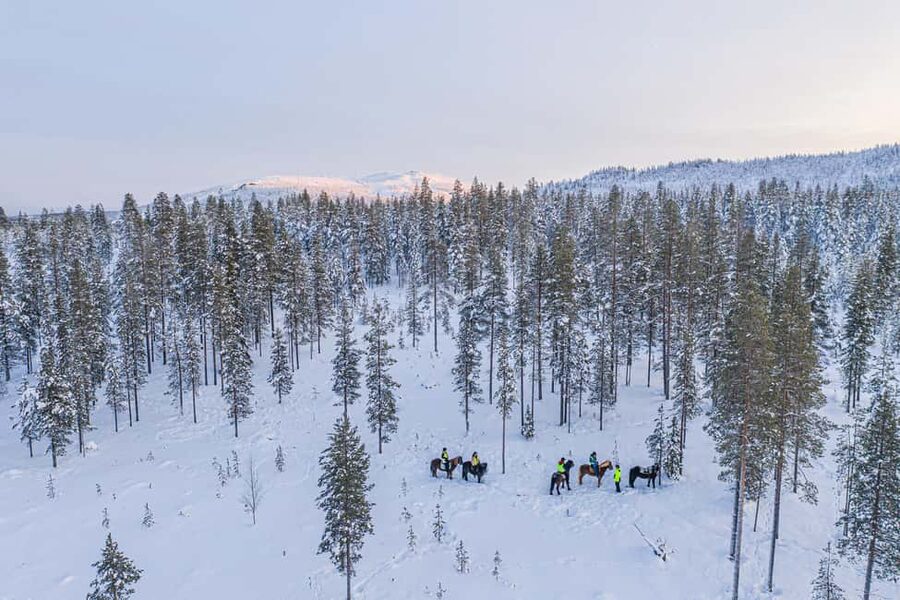 Levi: Riding Trek with Icelandic Horses - Why Icelandic Horses Feel Different in Levi’s Winter