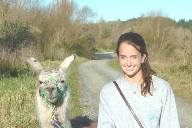 Llama Trek (Taster) - Kowhai River Valley and Native Woodland Tour - How the Llamas Work: Calm Teaching and Up-Close Touch