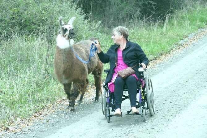 Llama Trek (Taster) - Kowhai River Valley and Native Woodland Tour - Who This Walk Suits (and Who Might Prefer More Time)