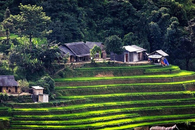Local Experience in Sapa trekking tours - Day 2: Giang Ta Chai with the Red Dzao, then back to Sapa town
