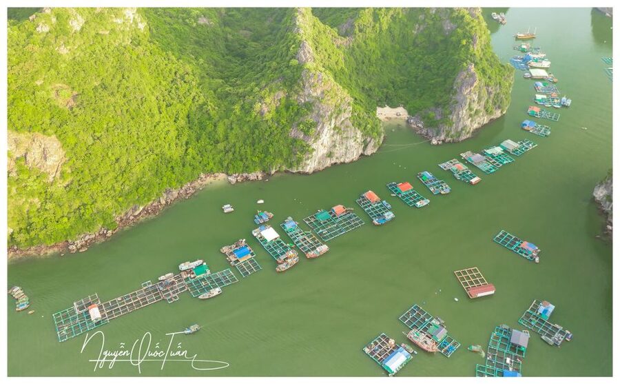 Long Trekking Catba national park, Lan ha bay full day trip - The Cat Bà National Park trek: Frog Pond (Ech Pond) and real effort