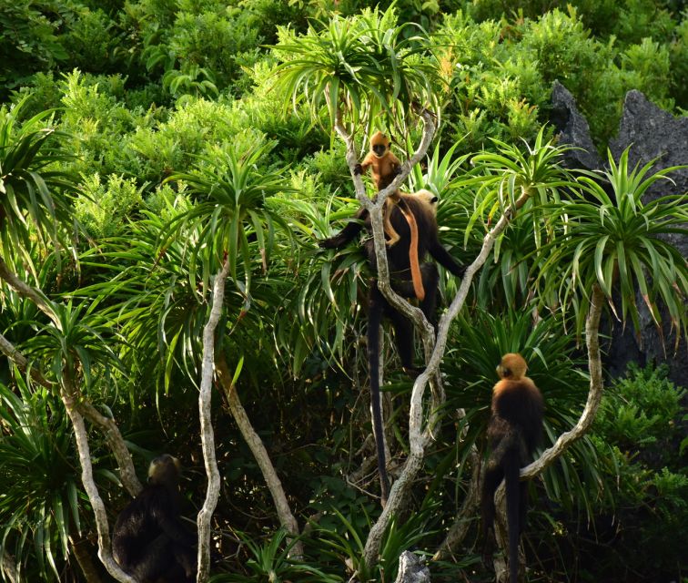 Long Trekking Catba national park, Lan ha bay full day trip - 8:00 pickup and the transfer to Cat Bà National Park