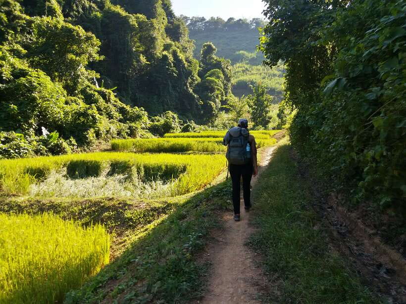 Luang Prabang: 3-Day Cultural Remote Trek With Homestay - Key highlights worth planning for