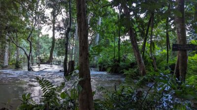 Luang Prabang: Full Day Trek to Kuang Si Waterfall & Village - The 9-Hour Flow: Hotel Pickup to Kuang Si and Back Again