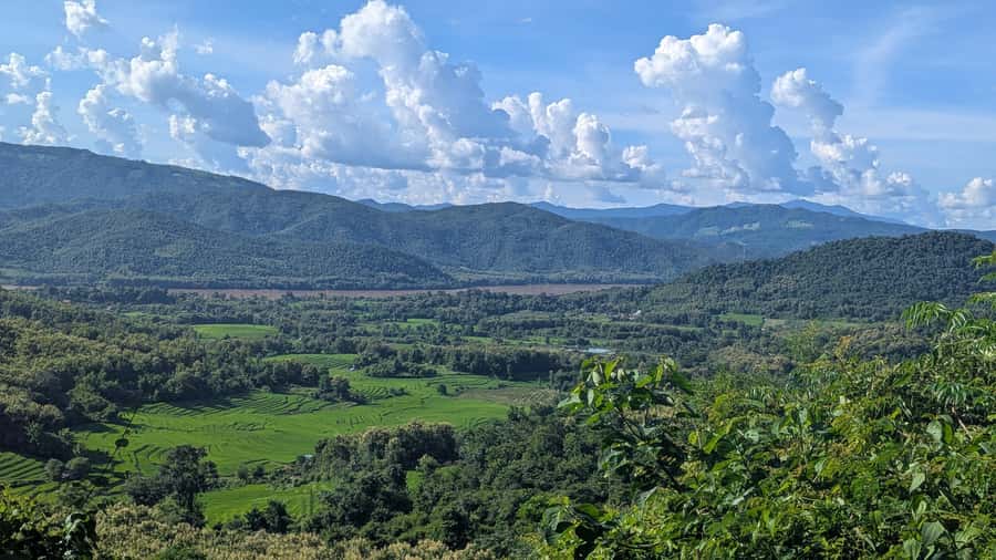 Luang Prabang: Full Day Trek to Kuang Si Waterfall & Village - Pacing, Breaks, and the Reality of a Long Day