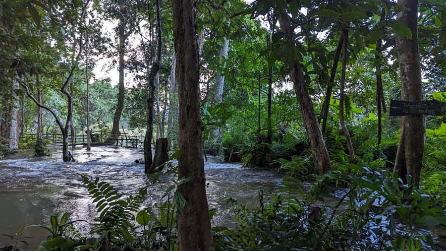 Luang Prabang: Full Day Trek to Kuang Si Waterfall & Village - The 9-Hour Flow: Hotel Pickup to Kuang Si and Back Again
