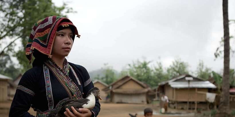 Luang Prabang Thin Pha Trail & Tad Sae Falls Trek - The trek in motion: paddies, forests, and the value of slow attention