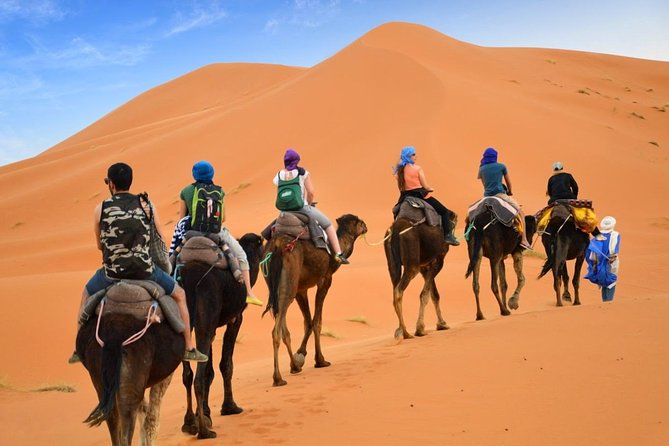 Luxury Private 4-Day Camel Trekking and Kasbah Trail from Marrakech - Day Two: Todra Gorge Walk, Rissani Market Hours, and Merzouga by Camel