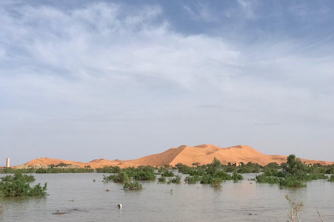 Luxury Private 4-Day Camel Trekking and Kasbah Trail from Marrakech - Who Should Book This, and Who Should Skip It