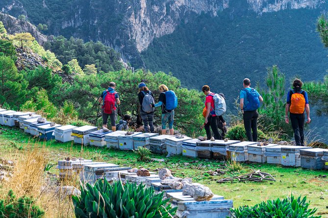 Lycian Way Trekking Tour (7 Days) - Day 5: Ksantos (Xantos) plus a 19 km Lycian Way stretch