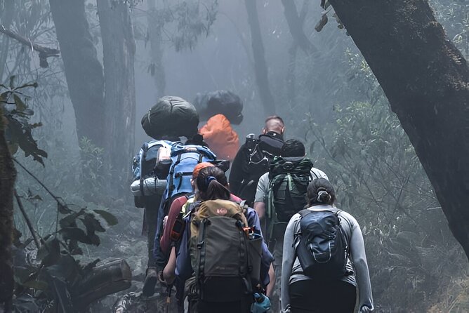 Machame Route 7-Day Private Kilimanjaro Trek - Machame Route: Why This 7-Day Plan Hits the Sweet Spot