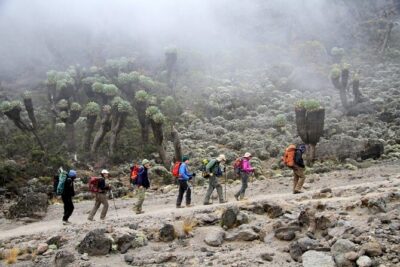 Machame Route 7-Day Private Kilimanjaro Trek - Moshi Start and the Pre-Trek Setup You’ll Be Glad You Have