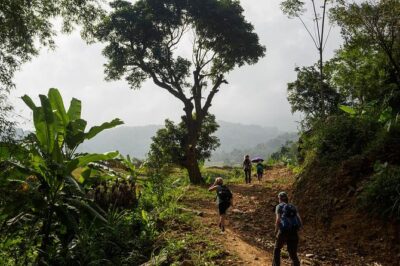 Mai Chau - Pu Luong trekking 3 days 2 nights - Day 2: sunrise optional, then the hardest stretch