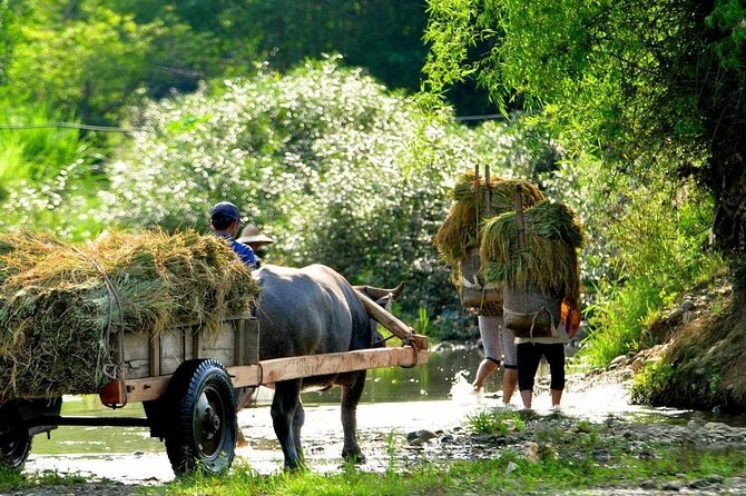 Mai Chau - Pu Luong trekking 3 days 2 nights - The guides and drivers you actually count on